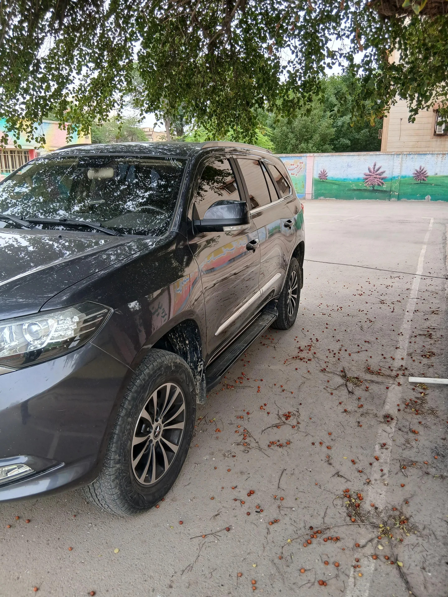 دایون  Y7 4