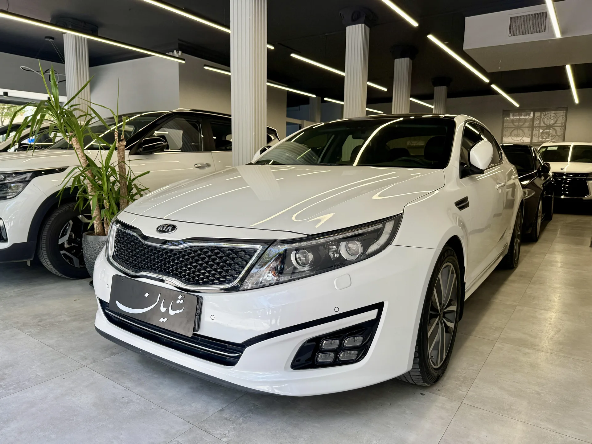 کیا اپتیما