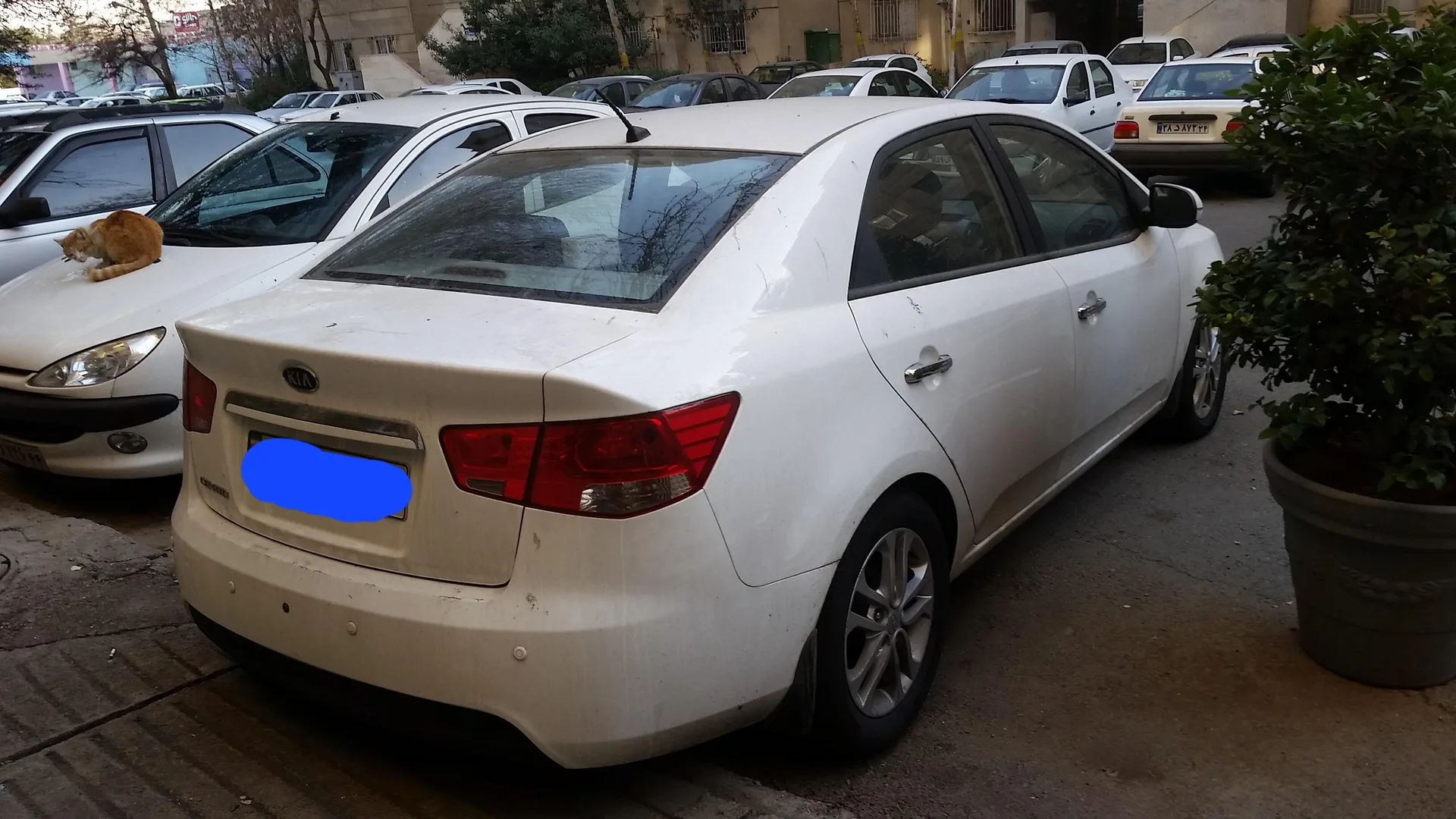 کیا  سراتو (مونتاژ)