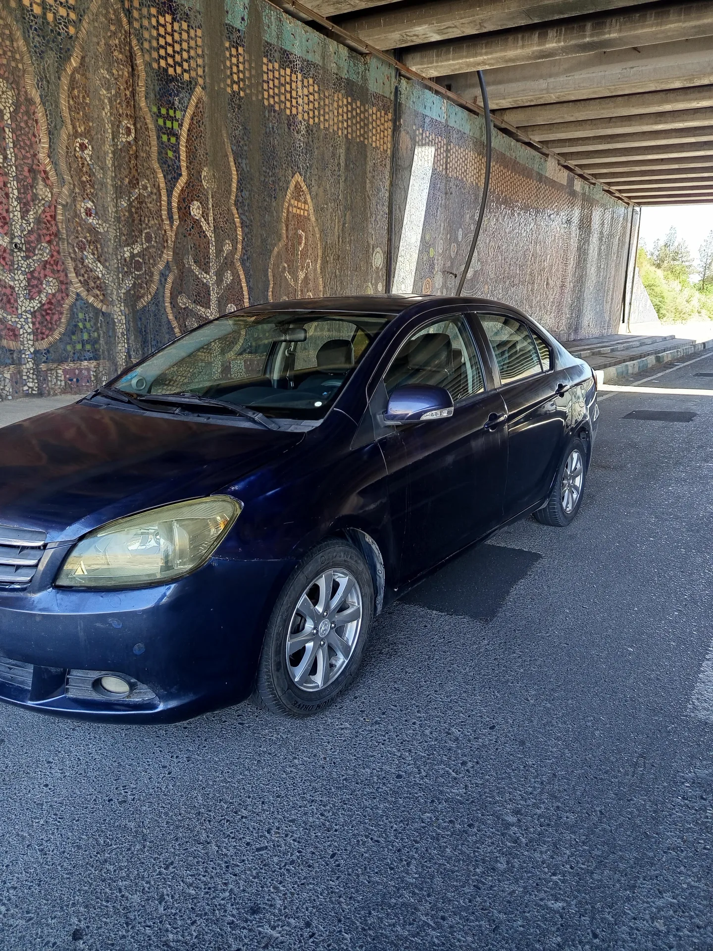گریت وال  C30 2