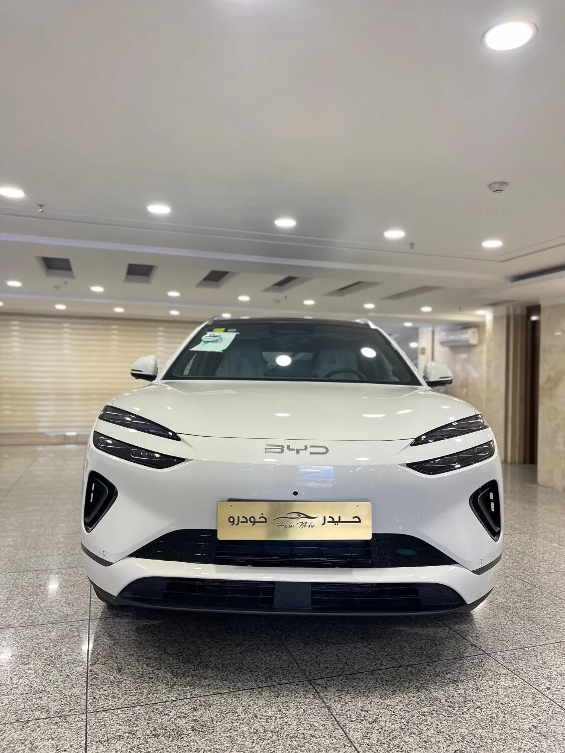 بی وای دی  سی لاین 06 DMi
