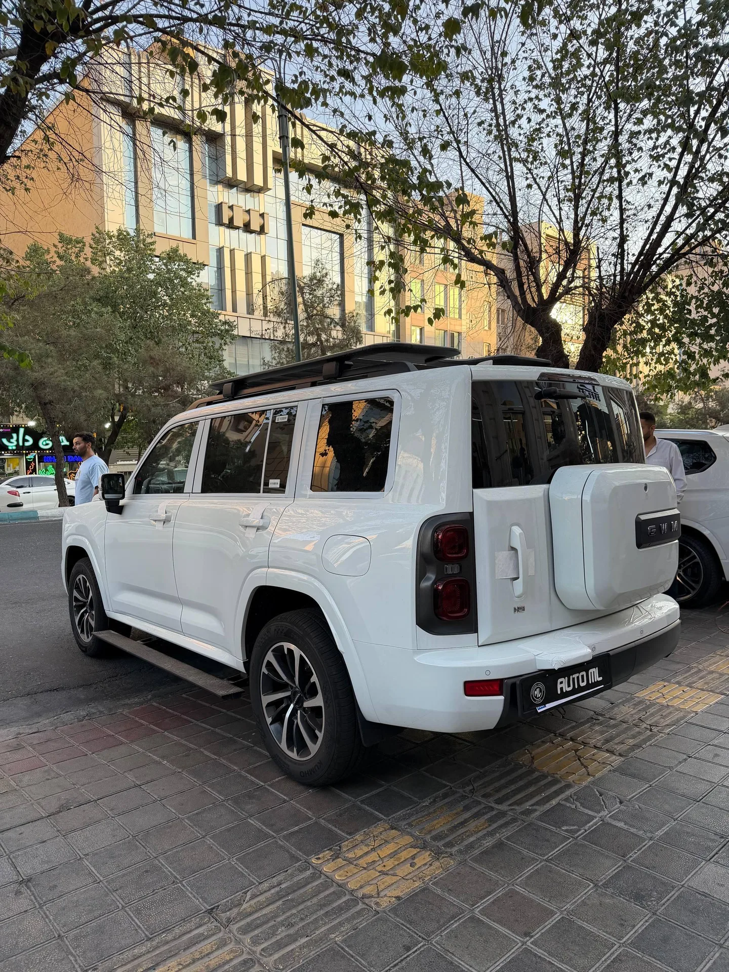 هاوال  H9 9