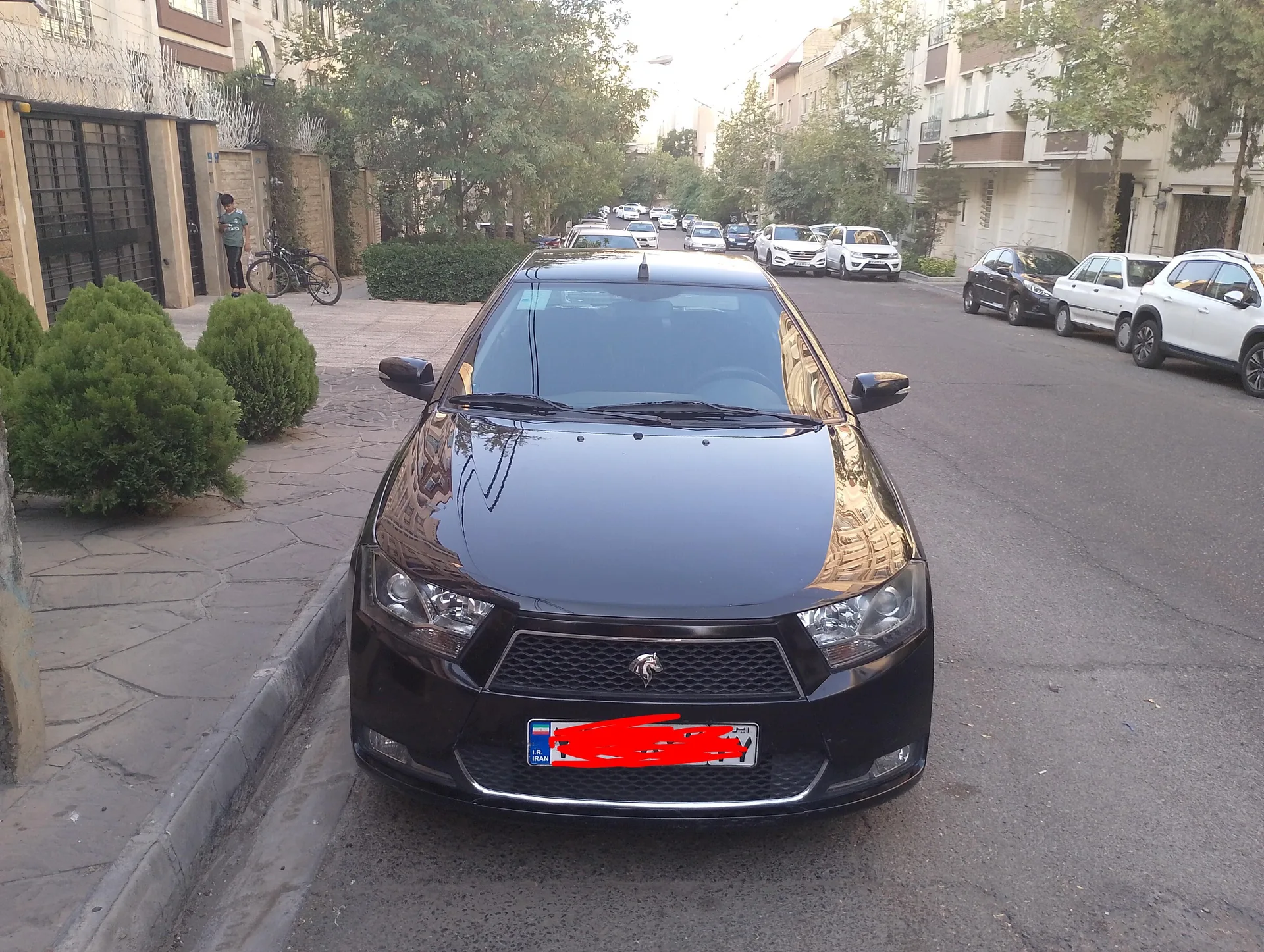 دنا معمولی