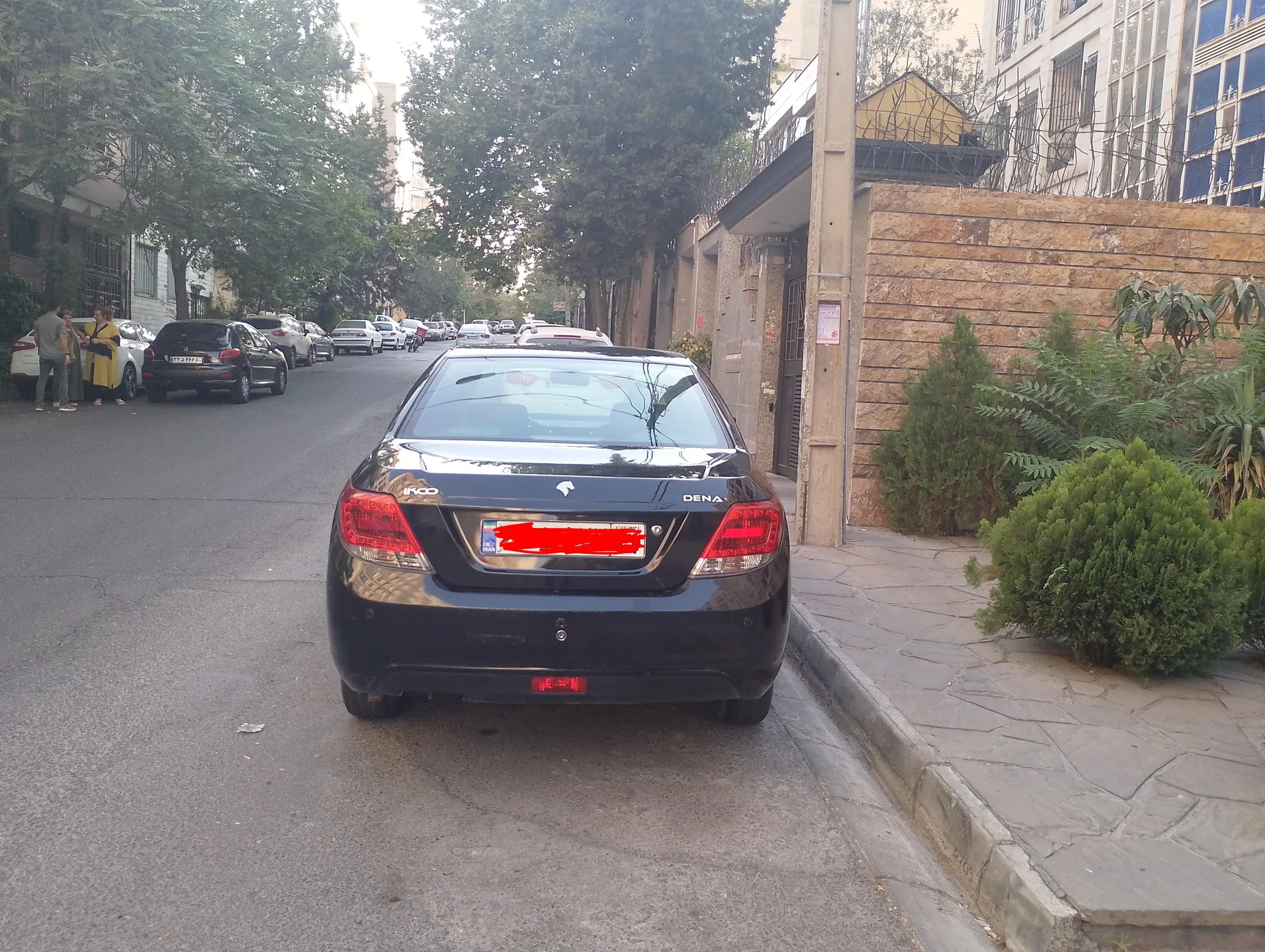دنا  معمولی 2