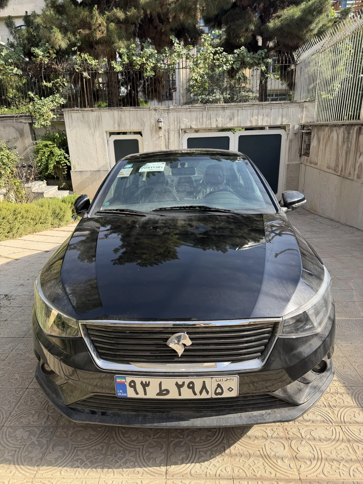تارا  دنده ای V1