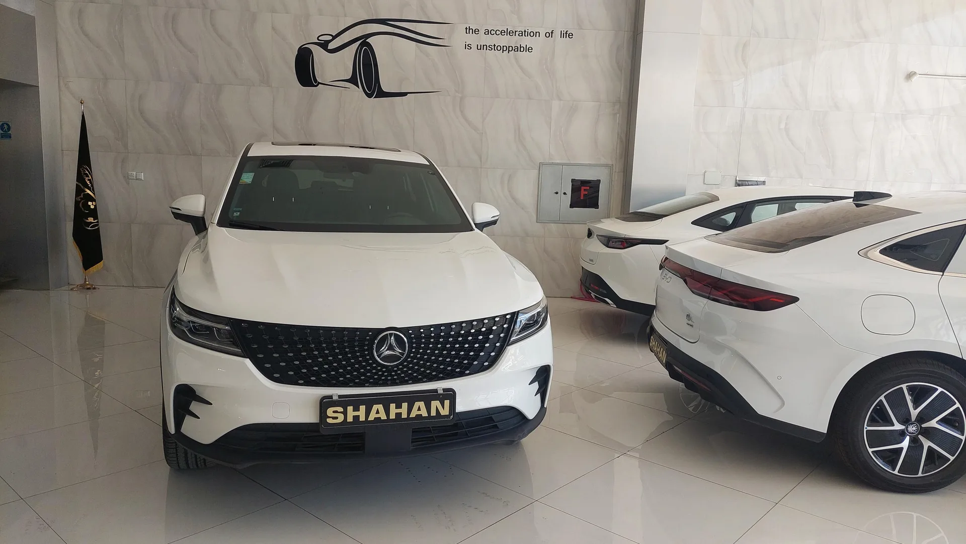 دیگنیتی  پرستیژ 6
