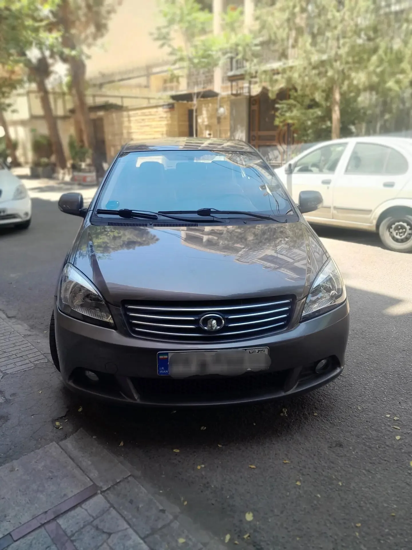 گریت وال C30