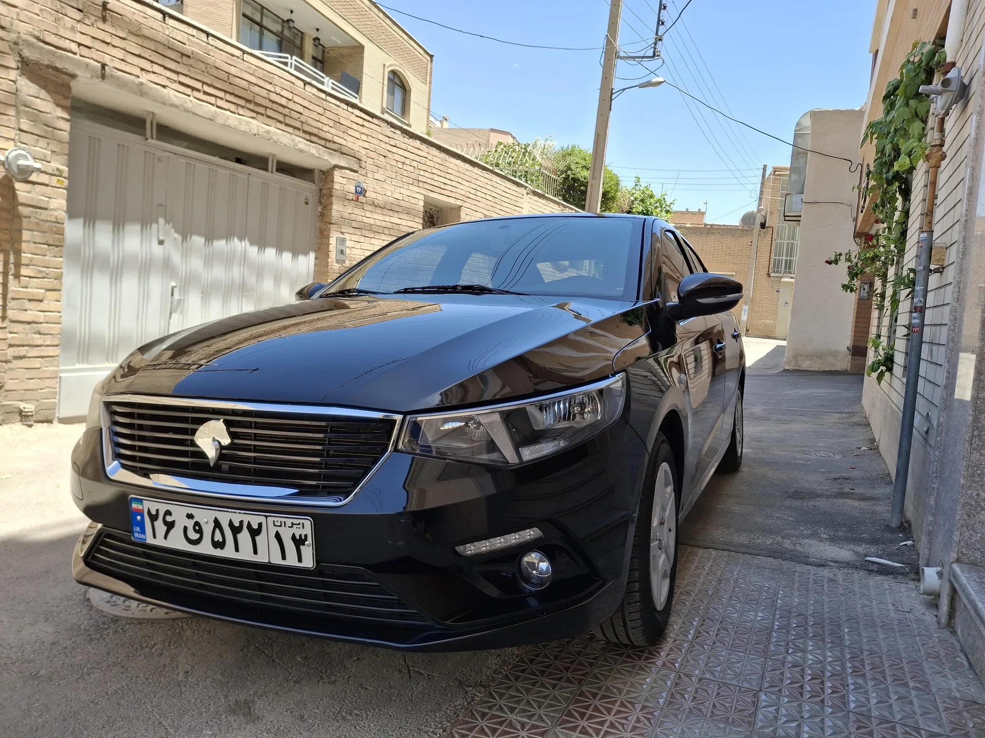 تارا  دنده ای V1