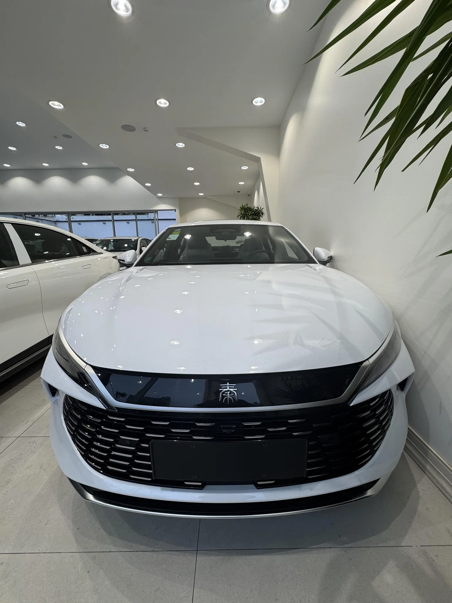 بی وای دی چین ال DMi